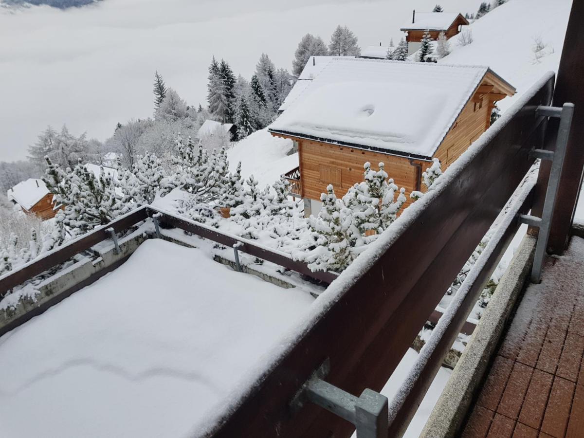 Les Collons1800- Bel Appart 2Pieces-4 Pers-Piscine-Sauna-Parking Int-Wifi Gratuit Vex Exterior foto